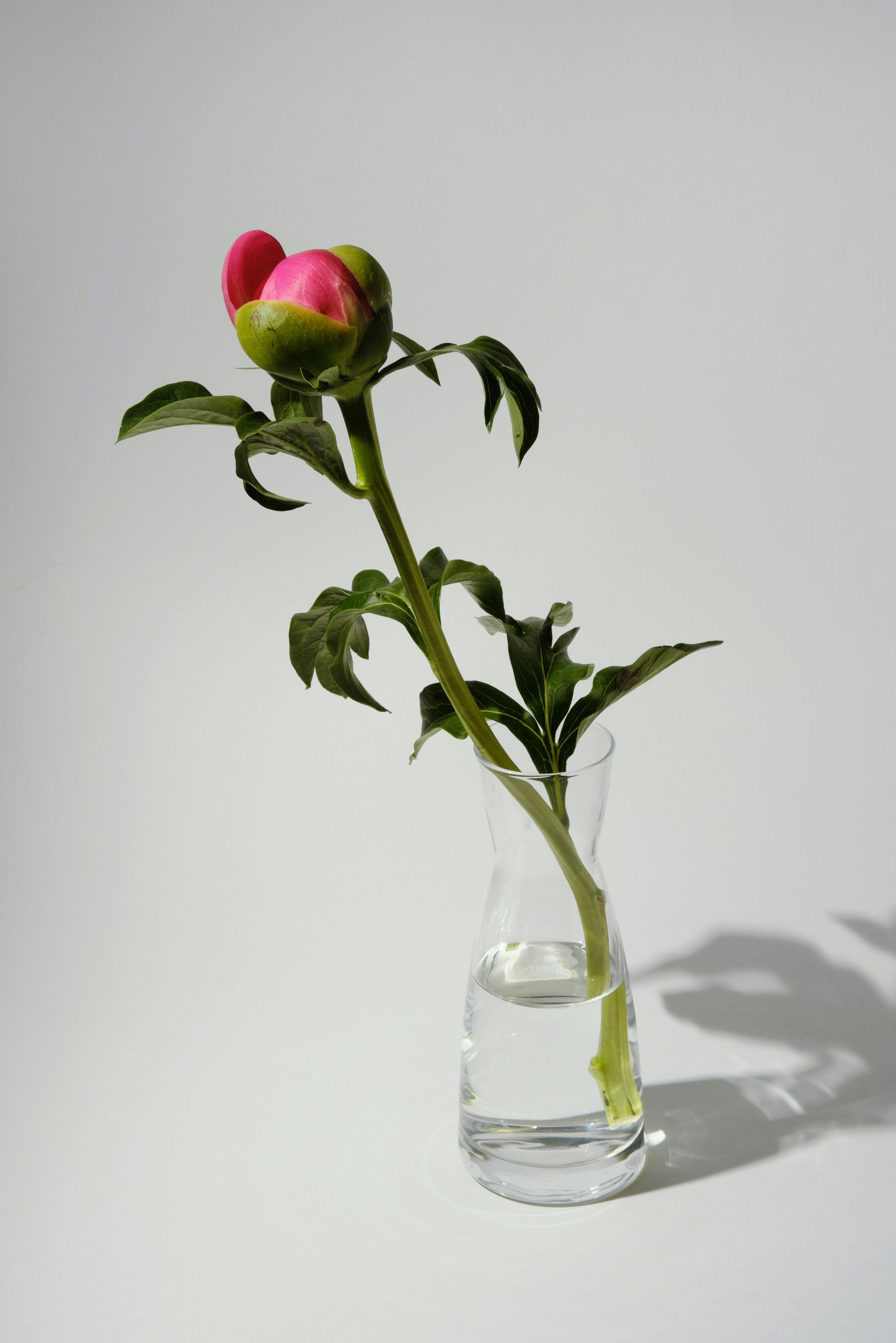 maria-lupan-GDCNNLuy9gI-unsplash